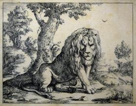 Lions