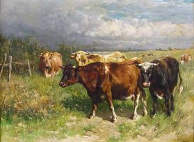 Cattle in Pasture