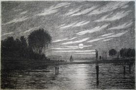 Marsh by the Moonlight