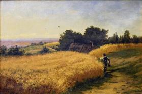 Grain Field and Figure