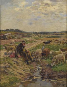 Shepherd With Flock