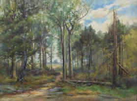 Forest Scene