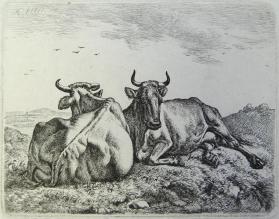 Die zwei liegenden Kühe in der Ebene 
