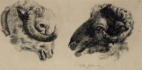 Two Rams' Heads