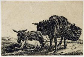 Donkey with Paniers from the series Alcune Animal (Animals)
