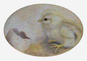 Chick with Egg Shell