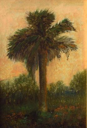 Palm Tree