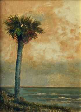 Palm by the Sea