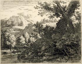 Landscape with Tree with Exposed Roots
