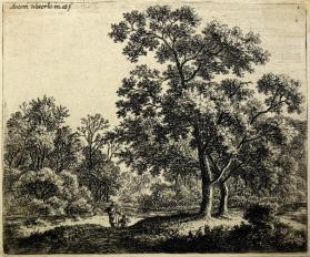 Travelers in a Forest