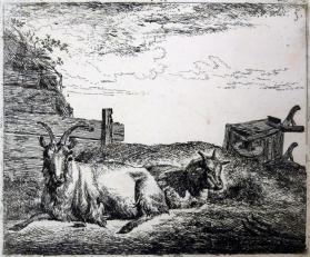 Two Recumbent Goats, from the series "Various Animals" plate 10
