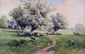 Spring Landscape