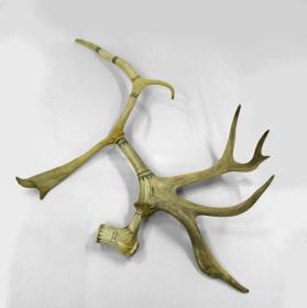 Antler Pipe