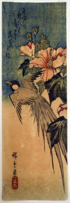 Long-tailed Bird and Hibiscus (Fuyō ni Tori)
