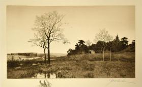 In the Meadows Near Fairview, New Jersey