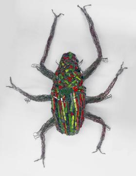 Striped Beetle