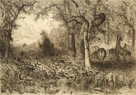 Forest and Deer
