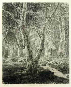 Bois de Pierrefonds - Salon de 1874