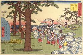 Cherry Blossom Viewing at Asuka Hill (Asukayama hanami no zu)
