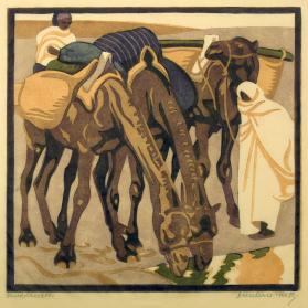 Xareddruck (Camels Drinking)