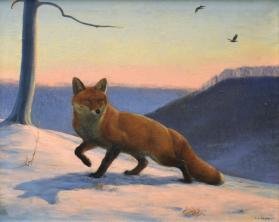 Fox