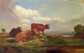 Cows in Pasture