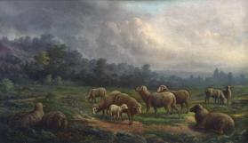 In the Sheep Fold