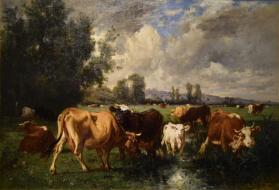 Cattle in a Field